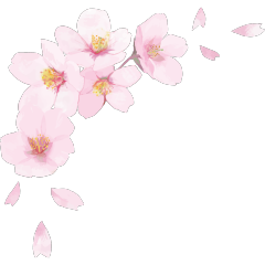 春の季節限定の桜のイラスト